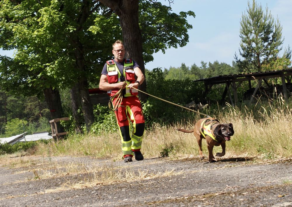 Scheele auf Suche.jpg